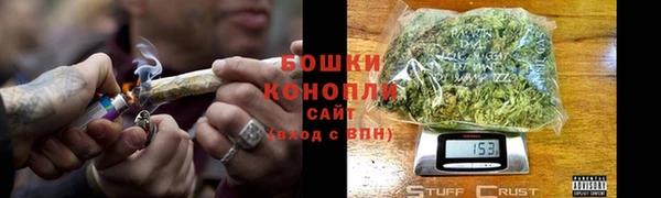 амф Ладушкин