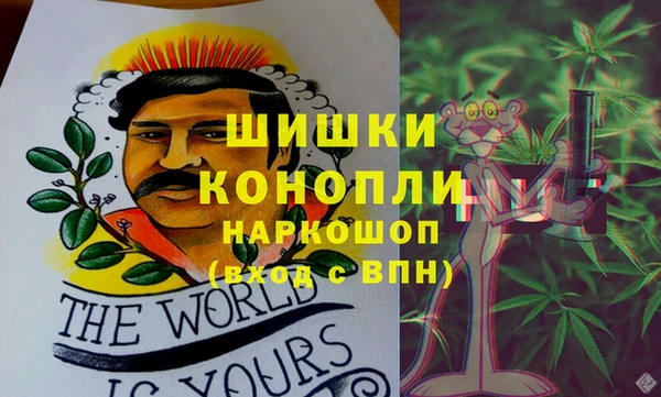 дурь Лагань