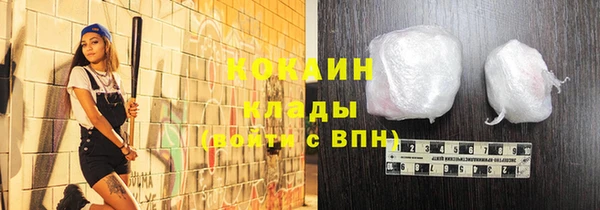 амф Ладушкин