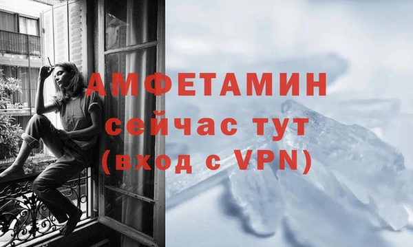 амф Ладушкин