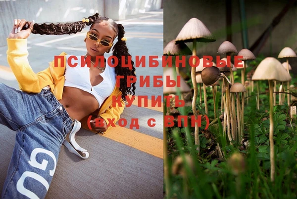 дурь Лагань