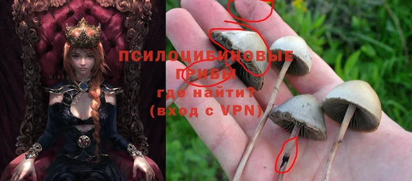 дурь Лагань