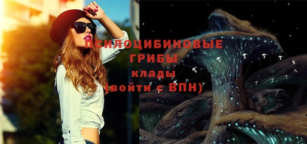 дурь Лагань