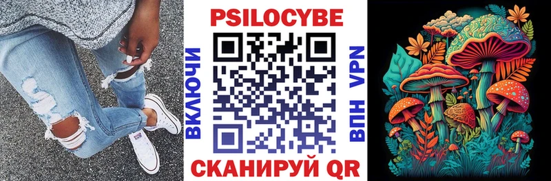 Купить закладки  Челябинск  Псилоцибиновые грибы Magic Shrooms 